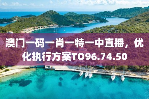 澳门一码一肖一特一中直播，优化执行方案TO96.74.50