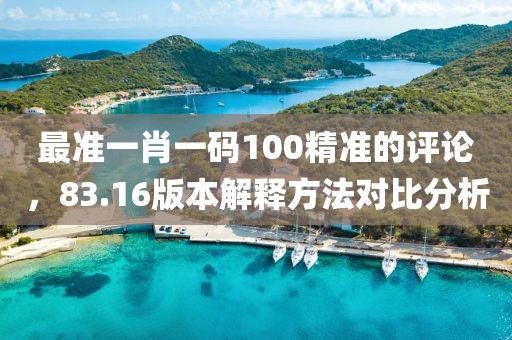 最准一肖一码100精准的评论，83.16版本解释方法对比分析
