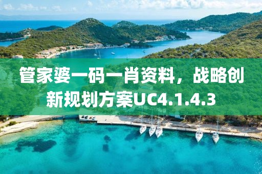 管家婆一码一肖资料，战略创新规划方案UC4.1.4.3