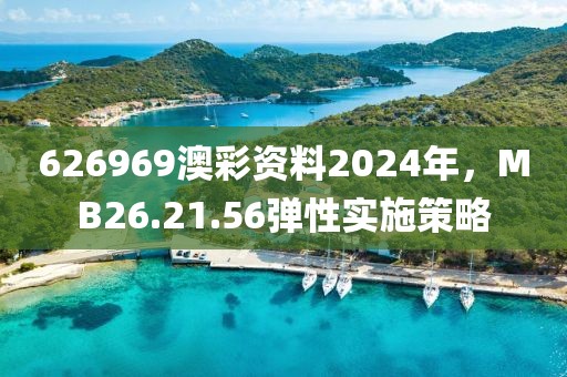 626969澳彩资料2024年，MB26.21.56弹性实施策略