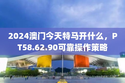 2024澳门今天特马开什么，PT58.62.90可靠操作策略