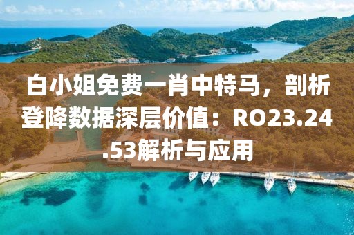 白小姐免费一肖中特马，剖析登降数据深层价值：RO23.24.53解析与应用