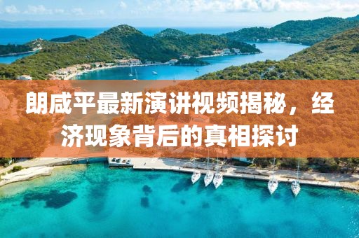 朗咸平最新演讲视频揭秘，经济现象背后的真相探讨