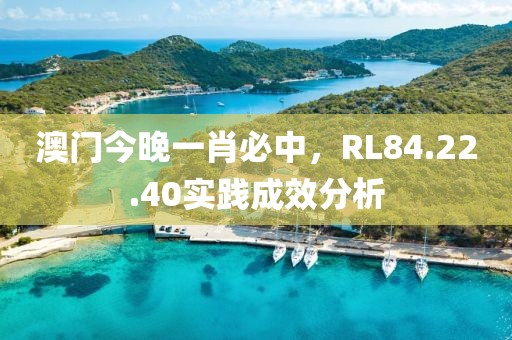 澳门今晚一肖必中，RL84.22.40实践成效分析
