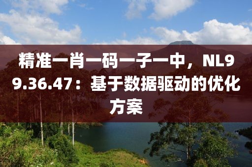 精准一肖一码一子一中，NL99.36.47：基于数据驱动的优化方案