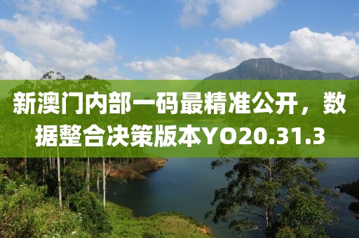 凤飞舞飘 第23页