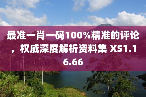最准一肖一码100%精准的评论，权威深度解析资料集 XS1.16.66