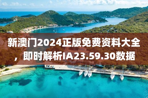 新澳门2024正版免费资料大全，即时解析IA23.59.30数据