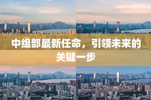 中组部最新任命，引领未来的关键一步