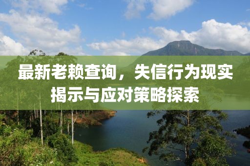 最新老赖查询，失信行为现实揭示与应对策略探索