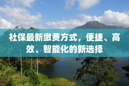 社保最新缴费方式，便捷、高效、智能化的新选择