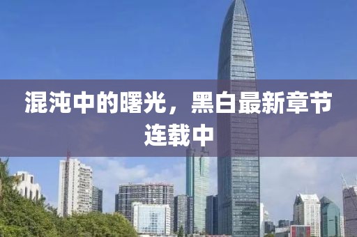 混沌中的曙光，黑白最新章节连载中