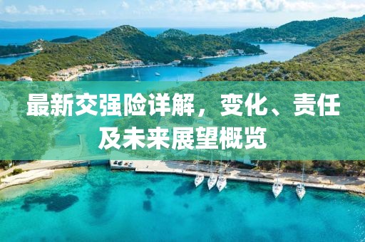 最新交强险详解，变化、责任及未来展望概览