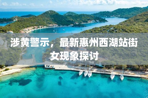涉黄警示，最新惠州西湖站街女现象探讨