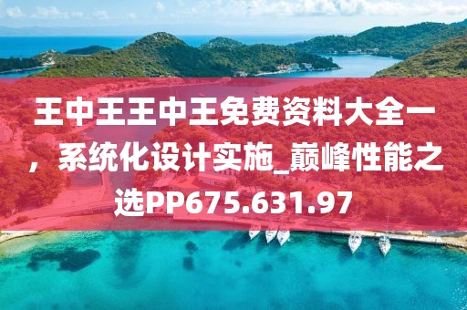 王中王王中王免费资料大全一，系统化设计实施_巅峰性能之选PP675.631.97