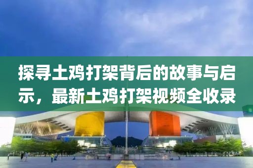 探寻土鸡打架背后的故事与启示，最新土鸡打架视频全收录