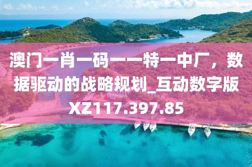 澳门一肖一码一一特一中厂，数据驱动的战略规划_互动数字版XZ117.397.85