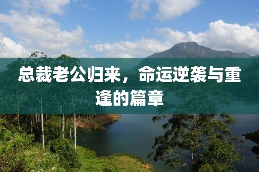总裁老公归来，命运逆袭与重逢的篇章