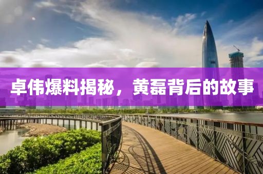 卓伟爆料揭秘，黄磊背后的故事