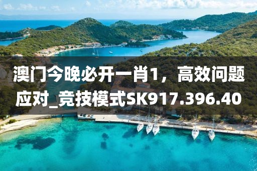 澳门今晚必开一肖1，高效问题应对_竞技模式SK917.396.40