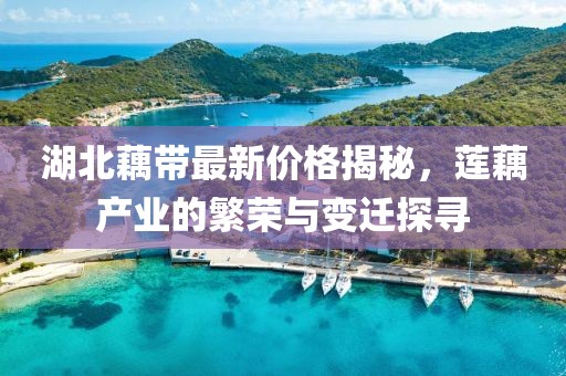 湖北藕带最新价格揭秘，莲藕产业的繁荣与变迁探寻