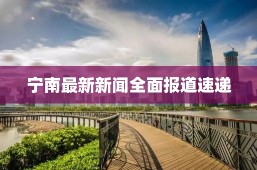 宁南最新新闻全面报道速递