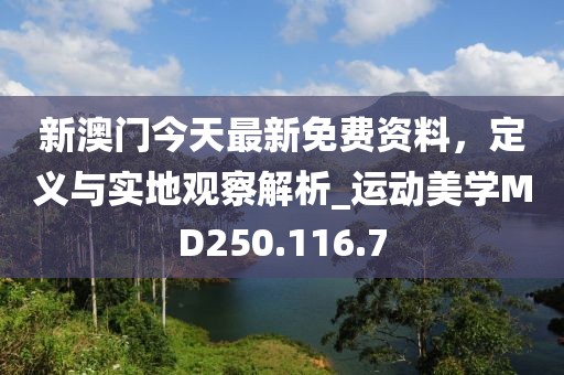 新澳门今天最新免费资料，定义与实地观察解析_运动美学MD250.116.7