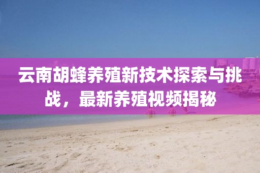 云南胡蜂养殖新技术探索与挑战，最新养殖视频揭秘