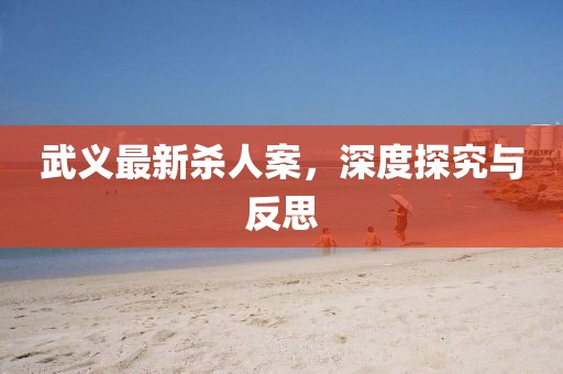 武义最新杀人案，深度探究与反思