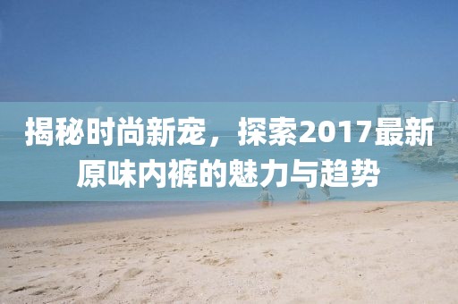 揭秘时尚新宠，探索2017最新原味内裤的魅力与趋势