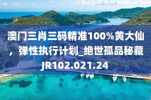 澳门三肖三码精准100%黄大仙，弹性执行计划_绝世孤品秘藏JR102.021.24