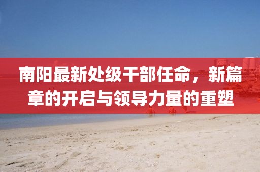 南阳最新处级干部任命，新篇章的开启与领导力量的重塑