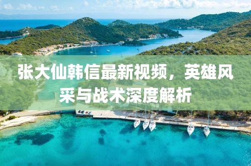 张大仙韩信最新视频，英雄风采与战术深度解析