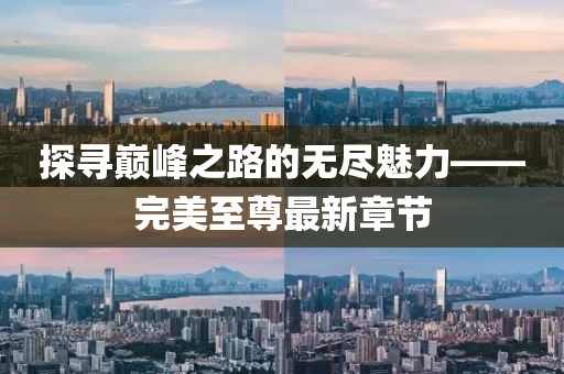 探寻巅峰之路的无尽魅力——完美至尊最新章节