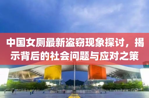 中国女厕最新盗窃现象探讨，揭示背后的社会问题与应对之策