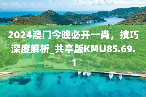 2024澳门今晚必开一肖，技巧深度解析_共享版KMU85.69.1
