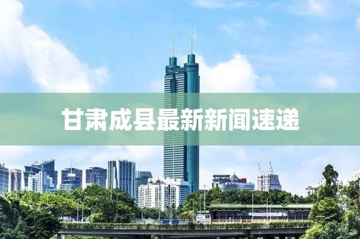 甘肃成县最新新闻速递