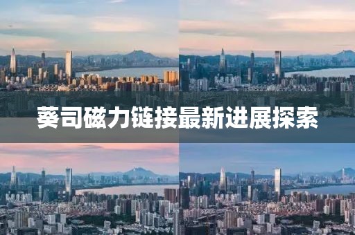 葵司磁力链接最新进展探索