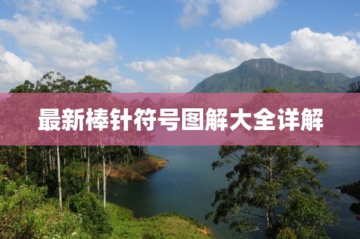 最新棒针符号图解大全详解