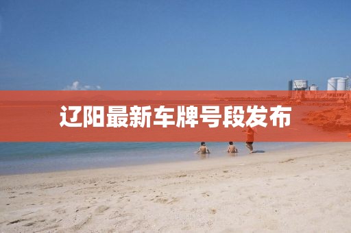辽阳最新车牌号段发布