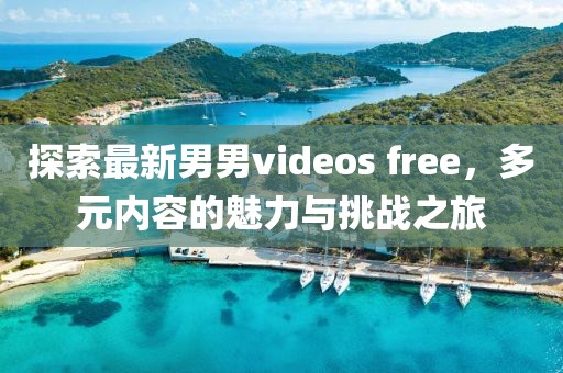探索最新男男videos free，多元内容的魅力与挑战之旅