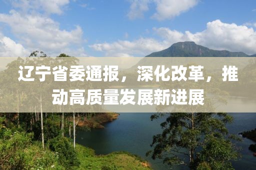 辽宁省委通报，深化改革，推动高质量发展新进展