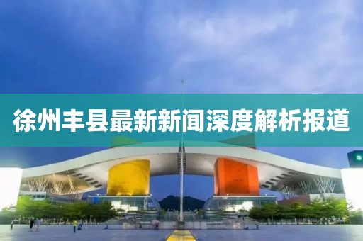 徐州丰县最新新闻深度解析报道