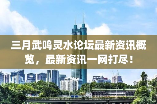 三月武鸣灵水论坛最新资讯概览，最新资讯一网打尽！