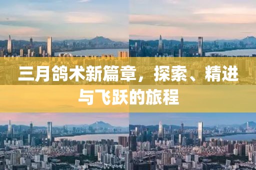 三月鸽术新篇章，探索、精进与飞跃的旅程