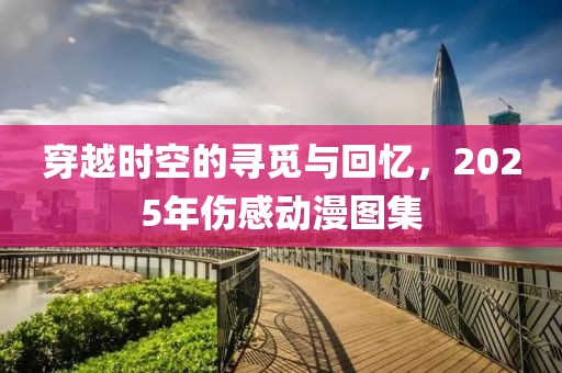 穿越时空的寻觅与回忆，2025年伤感动漫图集