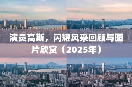 演员高斯，闪耀风采回顾与图片欣赏（2025年）