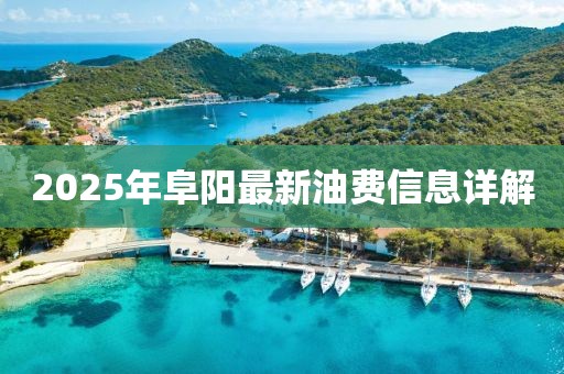 2025年阜阳最新油费信息详解