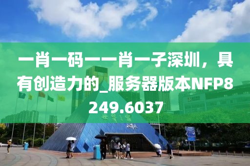 一肖一码一一肖一子深圳，具有创造力的_服务器版本NFP8249.6037