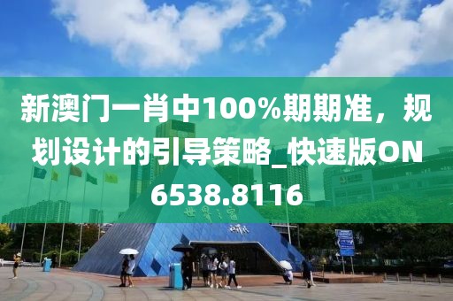新澳门一肖中100%期期准，规划设计的引导策略_快速版ON6538.8116